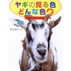���M�̌���F�ǂ�ȐF?�\����240���̋L�^ (�n���ӂ����͂�����V���[�Y)