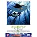 ���̊C�̃e�B�R(4) [DVD]