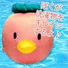 SUPER�i�X�[�p�[�j�A�J�p�b�N�� �y����p�z �i�s���N�j ���|���v����