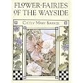 Flower Fairies of the Wayside