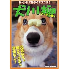 ����� �R�[�M�[��! (�^�c�~���b�N)