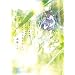 SEASONS~�Ȃ̂Ђ����~ (�T���f�[GX�R�~�b�N�X�k�X�y�V�����l)