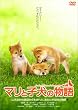 �}���Ǝq���̕��� �X�^���_�[�h�E�G�f�B�V���� [DVD]