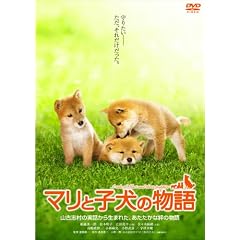 �}���Ǝq���̕��� �X�^���_�[�h�E�G�f�B�V���� [DVD]