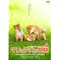 �}���Ǝq���̕��� �X�^���_�[�h�E�G�f�B�V���� [DVD]