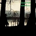 Sowiesoso [12 inch Analog]