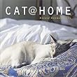 Cat at Home