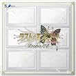 ���X�g�G�X�R�[�g ~�[��̍�������~ �h���}CD