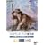 �t���f���b�N�E�o�b�N����I~�u�؂�A�����j�v�u�傢�Ȃ�̗͂���v�u�N���b�N!�v [DVD]