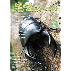 �����t�B�[���h No.65 (DVD�t)