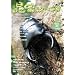 �����t�B�[���h No.65 (DVD�t)