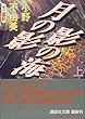 ���̉e�@�e�̊C�i��j (�u�k�Е���)