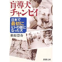 �ӓ����`�����s�C�\���{�ōŏ��Ƀq�g�̊�ɂȂ����� (�V������)