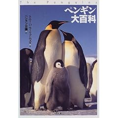 �y���M����S��