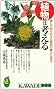 �A���͍l����\�ނ�̒m��ꂴ����ق̔\�͂ɔ��� (KAWADE���V��)