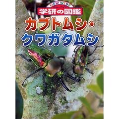 �J�u�g���V�E�N���K�^���V (�j���[���C�h�w���̐}��)