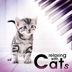 猫と楽しむクラシック~ オムニバス(クラシック) (アーティスト, 演奏)