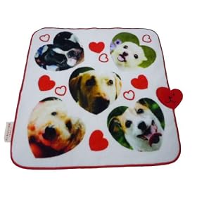 ����Y�� �f��u���Ƃ��Ȃ��̕��� ���ʂ̂������v �~�j�e���[(��) TGF0604001-M IG1010