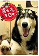 �x�m�ۂȓ��X �A�i�U�[�X�g�[���[�E�A�i�U�[�f�C�Y [DVD]