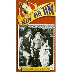 Adventures of Rin Tin Tin: White Wolf [VHS] [Import]