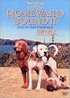 ��Ղ̗� 2 �T���t�����V�X�R�̑�`�� [DVD]