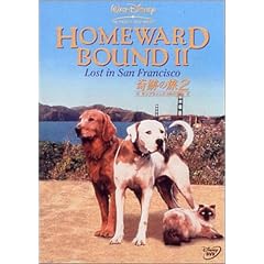 ��Ղ̗� 2 �T���t�����V�X�R�̑�`�� [DVD]