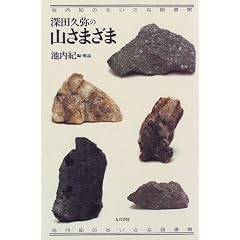 �[�c�v��̎R���܂��܁\�r���I�̂������Ȑ}����
