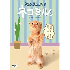 �l�R������DVD �l�R�~��