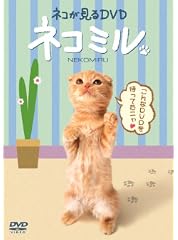 ネコが見るDVD ネコミル