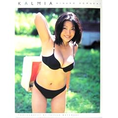KALMIA�\�������ގq�ʐ^�W