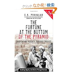 The Fortune at the Bottom of the Pyramid: Eradicating Poverty Through Profits