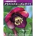 FLOWER OF LIFE HELLEBORES��