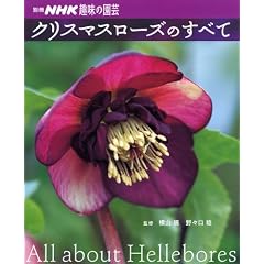 �N���X�}�X���[�Y�̂��ׂ� (�ʍ�NHK��̉��|)