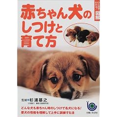 �ЂƖڂł킩��!�}�� �Ԃ���񌢂̂����ƈ�ĕ�