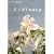 DISTANCE(�f�B�X�^���X) [DVD]