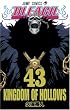 BLEACH 43 (�W�����v�R�~�b�N�X)