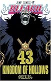 BLEACH 43 (�W�����v�R�~�b�N�X)