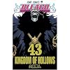 BLEACH 43 (�W�����v�R�~�b�N�X)