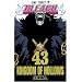 BLEACH 43 (�W�����v�R�~�b�N�X)
