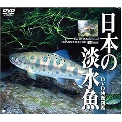 ���{�̒W���� DVD�f���}��