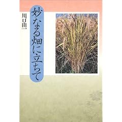 ���Ȃ锨�ɗ�����