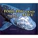 Fossil Fish Found Alive: Discovering the Coelacanth (Carolrhoda Photo Books)