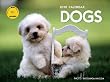 2010DOGS ����(yama-kei Calendar)