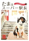 ���܂̓X�[�p�[�w�� ~�������̕��ɂ̂���~ [DVD]