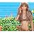 Sunrise / Sunset ~LOVE is ALL~(DVD�t)