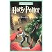Harry Potter Y LA Camara Secreta (2)