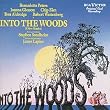 Into The Woods: A New Musical - Original Cast Recording (1987 Broadway Cast)