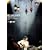 MTV UNPLUGGED [DVD]