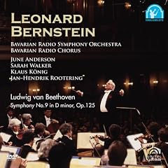 �o�[���X�^�C��/�x�[�g�[���F��:�����ȑ�9��~�x�������̕Ǖ���L�O�R���T�[�g~ [DVD]