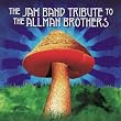 Jam Band Tribute to the Allman Brothers
